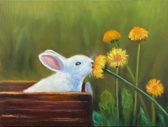 Curious Bunny-SOLD