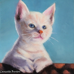 Kirby the Kitten- Sold