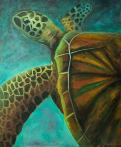 Sea Turtle