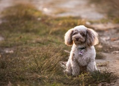 Lancette Burton Family Photography