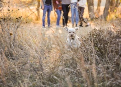 Lancette Burton Family Photography