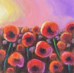 Poppy Sunset