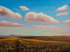 Pink Plains