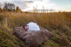 Lancette Burton Calgary Newborn photography