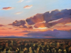 Golden Plains- limited edition print