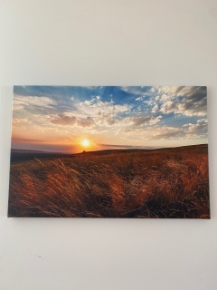 Nose Hill Harvest Sunset-SOLD