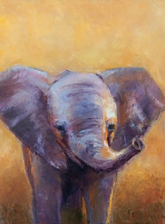 Serengeti