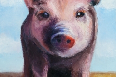 Wilbert the Pig